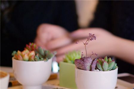 1589966043307663.jpg 圖片22.jpg