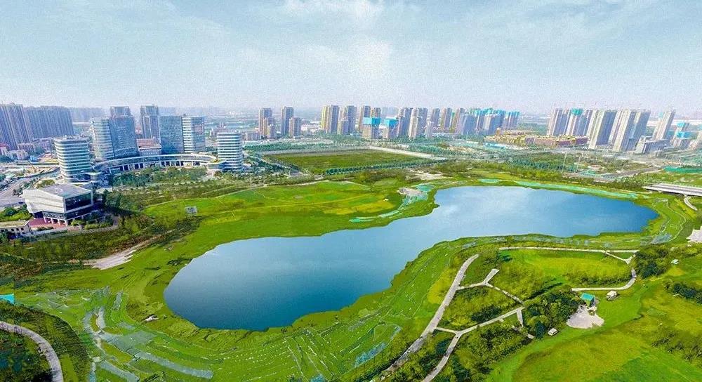 濱河國際新城夏天實景