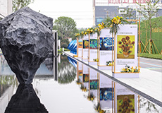 1618471778953501.jpg 9.jpg