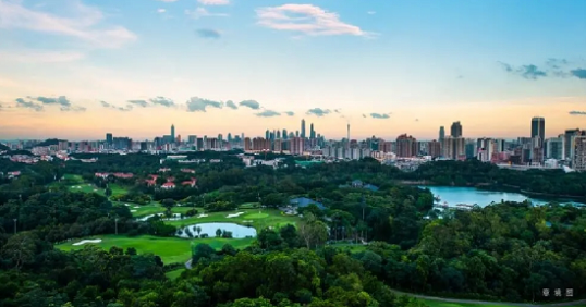 1624948386981528.png 1624846622616981.png