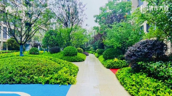 1689908378290139.jpg 圖片 37.JPG