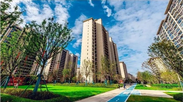 1699409458931802.jpg 配圖 (4).JPG