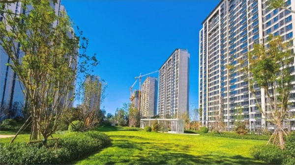 1699409509665289.jpg 配圖 (8).JPG