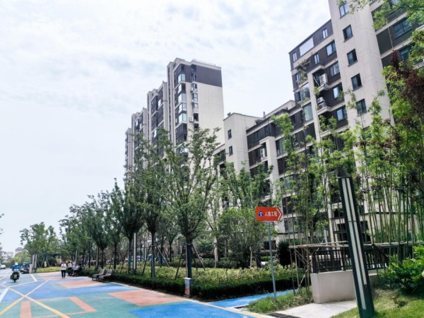 1720581622676577.jpg 圖片 8.JPG